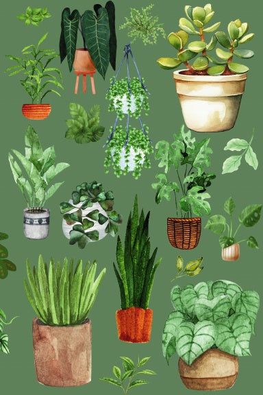 Book Cover Variant Thumbnail